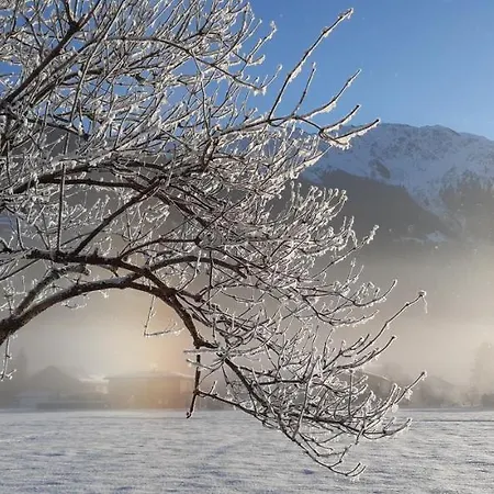 Appartamento Fritsch