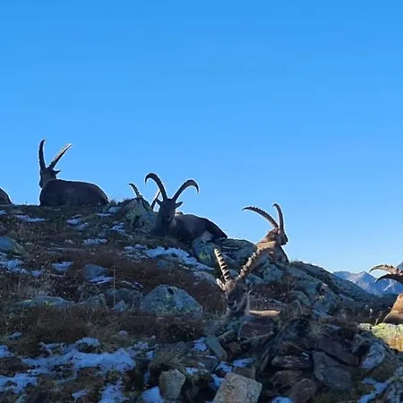 Appartamento Fritsch Schruns