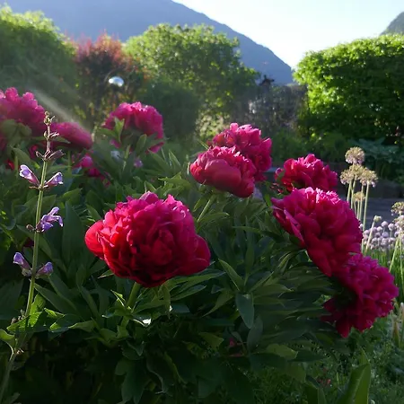 Appartamento Fritsch